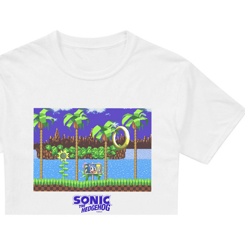 Vêtements Homme T-shirts manches longues Sonic The Hedgehog End Level Blanc