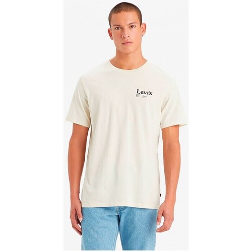 Vêtements Homme T-shirts manches courtes Levi's Graphic Cactus Tee Oatmeal Multicolore