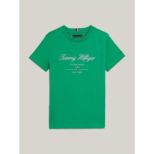 Vêtements Enfant T-shirts & Polos Tommy Hilfiger KB0KB08803-L4B OLYMPIC GREEN Vert