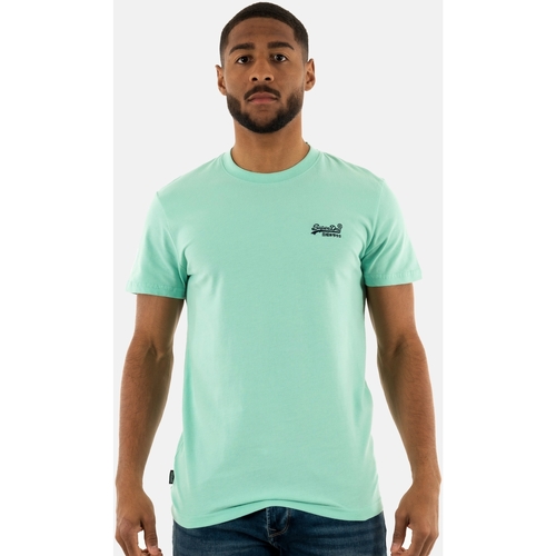 Vêtements Homme Shorts & Bermudas Superdry m1011245a Vert