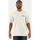 Vêtements Homme T-shirts manches courtes Dickies 0a4yrm Blanc