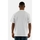 Vêtements Homme T-shirts manches courtes Dickies 0a4yfc Blanc