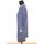 Vêtements Femme Robes Diane Von Furstenberg Robe en soie Bleu