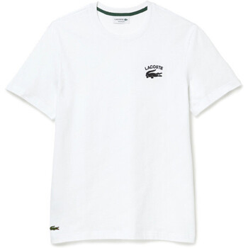 Vêtements Homme T-shirts & Polos Lacoste T-SHIRT REGULAR FIT  BLANC LOGO BRODÉ Blanc