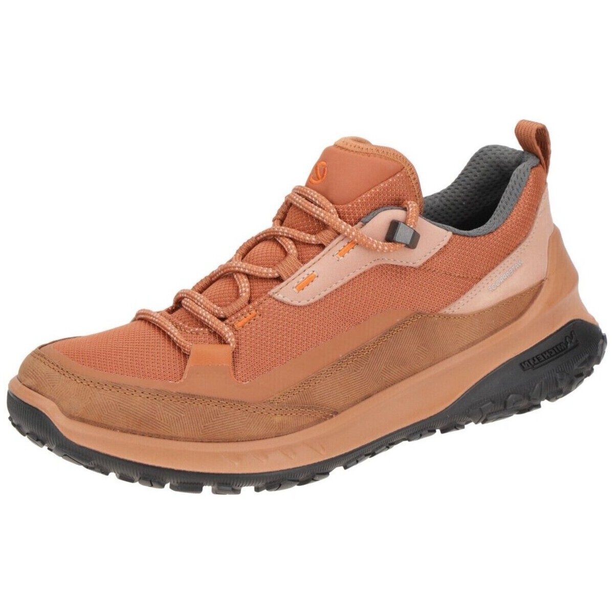 Chaussures Femme Fitness / Training Ecco  Marron