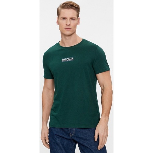 Vêtements Homme T-shirts & Polos Tommy Hilfiger MW0MW34387 Vert