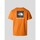 Vêtements Homme T-shirts manches courtes The North Face  Orange