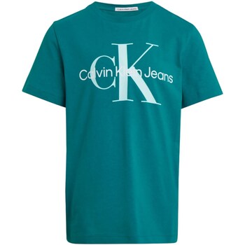Vêtements Fille T-shirts manches courtes Calvin Klein JEANS snake IU0IU00460 Vert