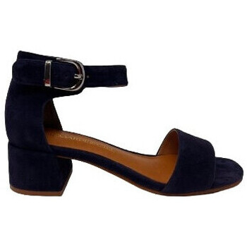 Chaussures Femme Sandales et Nu-pieds Chaussures Dorking D9272 CHAUSSURES  YEREMI-S24 Bleu