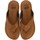 Chaussures Homme Tongs Gioseppo WASCO Marron