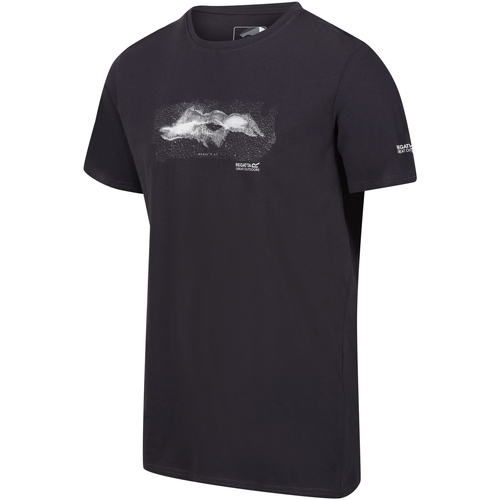 Vêtements Homme T-shirts manches longues Regatta Breezed III Above It All Gris