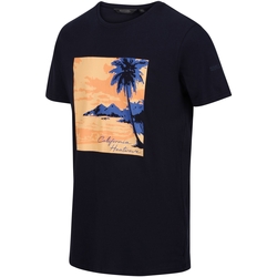 Vêtements Homme T-shirts manches longues Regatta Cline VII California Heatwave Bleu