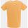 Vêtements Homme T-shirts manches courtes Helvetica T-shirt Orange
