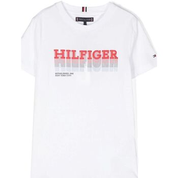 Vêtements Enfant Tommy Hilfiger Junior embroidered-logo T-shirt Tommy Hilfiger KB0KB08812 - FADE TEE-YBR WHITE Blanc