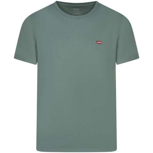 Vêtements Homme T-shirts manches courtes Levi's 163687VTPE24 Vert