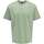 Vêtements Homme T-shirts manches courtes Only&sons 162291VTPE24 Vert