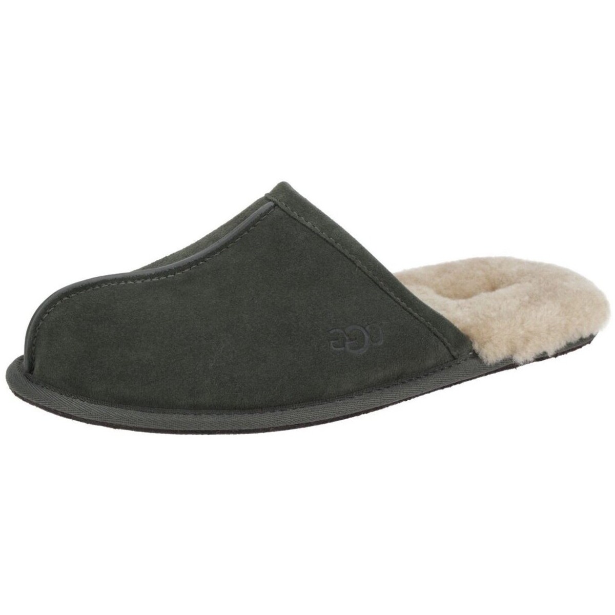 Chaussures Homme Chaussons UGG  Vert
