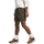 Vêtements Homme Shorts / Bermudas The North Face Class V Ripstop Shorts - New Taupe Green Vert