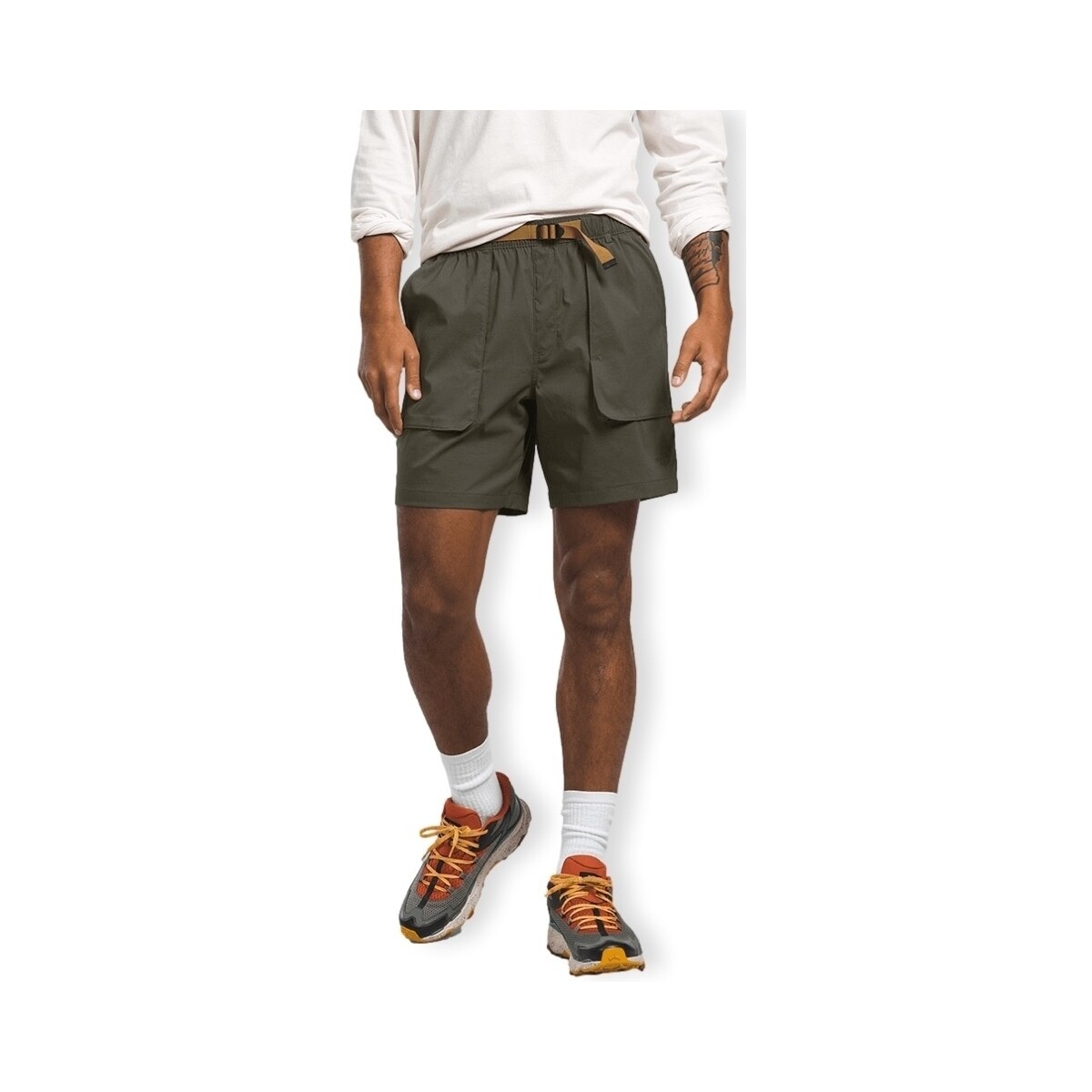 Vêtements Homme Shorts / Bermudas The North Face Class V Ripstop Shorts - New Taupe Green Vert