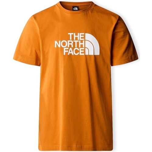 Vêtements Homme T-shirts & Polos The North Face Easy T-Shirt - Desert Rust Orange
