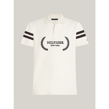 Vêtements Homme T-shirts & Polos Tommy Hilfiger MW0MW33588 Blanc