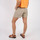 Vêtements Femme Shorts / Bermudas Oxbow Short twill de coton OKAY Gris