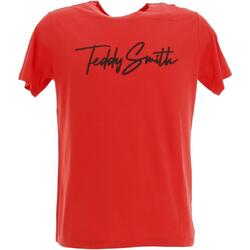 Vêtements Garçon T-shirts manches courtes Teddy Smith T-evan mc jr Autres