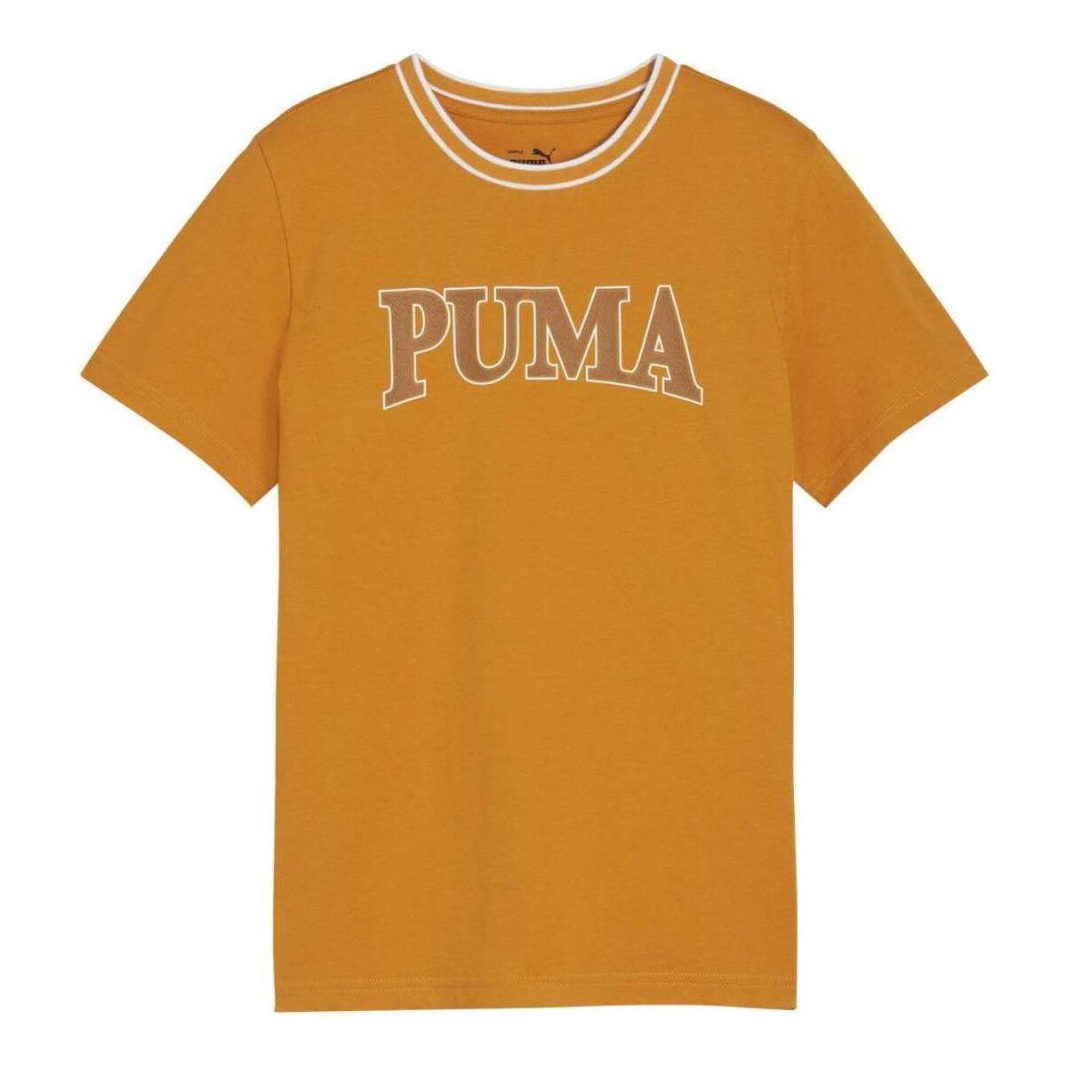 Vêtements Garçon T-shirts manches courtes Puma 162443VTPE24 Autres