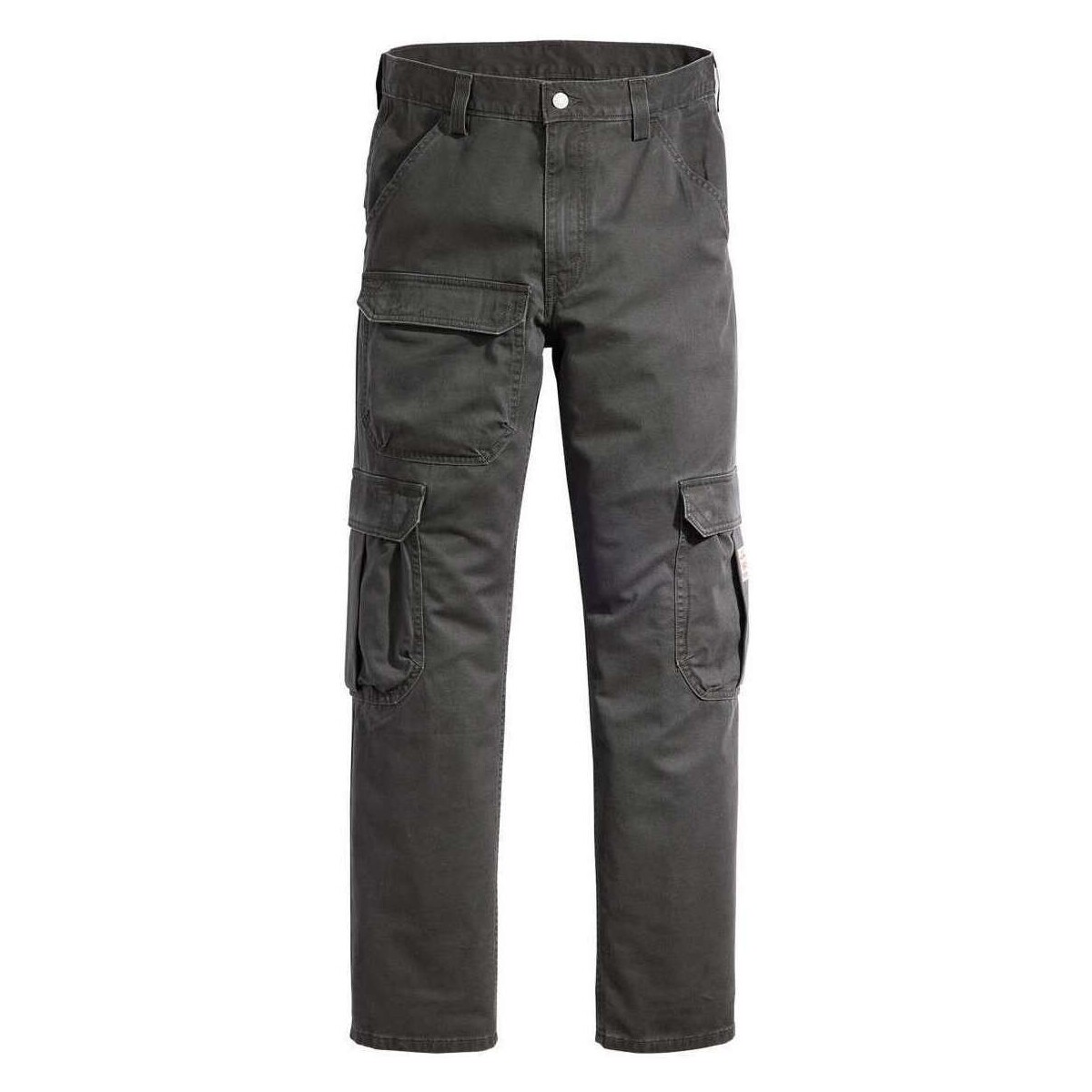 Vêtements Homme Pantalons cargo Levi's 163720VTPE24 Noir
