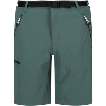 Vêtements Homme Shorts / Bermudas Regatta RG4948 Multicolore