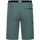 Vêtements Homme Shorts / Bermudas Regatta Xert III Multicolore