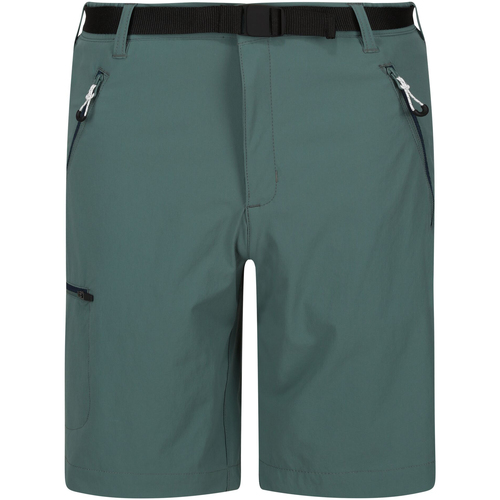 Vêtements Homme sleeveless Shorts / Bermudas Regatta Xert III Multicolore