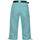 Vêtements Femme Shorts / Bermudas Regatta Xert Bleu