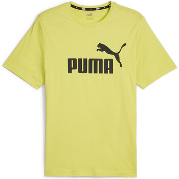 Vêtements Homme Polos manches courtes gro Puma ESS Logo Tee Vert