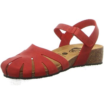 Chaussures Femme Sandales et Nu-pieds Plakton  Rouge