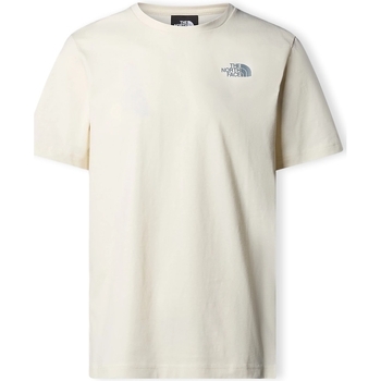 Vêtements Homme T-shirts & Polos The North Face Redbox T-Shirt - White Dune/Blue Dusk Low Beige