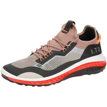 Chaussures Homme Fitness / Training Licorice1 Ecco  Marron