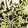 Sacs Femme Sacs porté épaule MICHAEL Michael Kors 35T9GF7C3T-BLK-NEON-YLW Multicolore