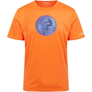 Vêtements Homme T-shirts manches longues Regatta RG9682 Orange
