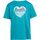Vêtements Enfant T-shirts manches courtes Regatta Alvardo VIII Bleu