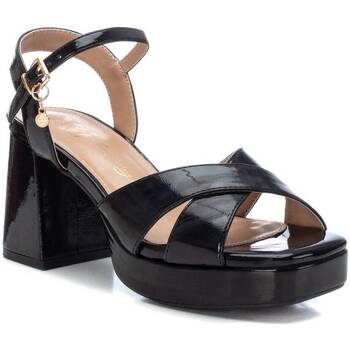 Chaussures Femme Sandales et Nu-pieds Xti 14235604 Noir