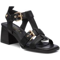 Chaussures Femme Voir toutes les ventes privées Carmela 16162902 Noir
