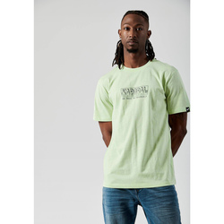 Vêtements Homme T-shirts manches courtes Kaporal BAZZI Vert