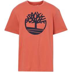 Vêtements Homme T-shirts manches courtes Timberland 163487VTPE24 Jaune