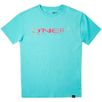 Vêtements Garçon T-shirts manches courtes O'neill 4850046-15046 Bleu