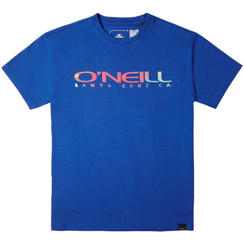 Vêtements Garçon T-shirts manches courtes O'neill 4850046-15045 Bleu