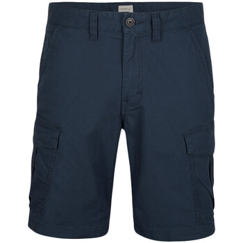 Vêtements Homme Shorts Sleeves / Bermudas O'neill Short Bleu