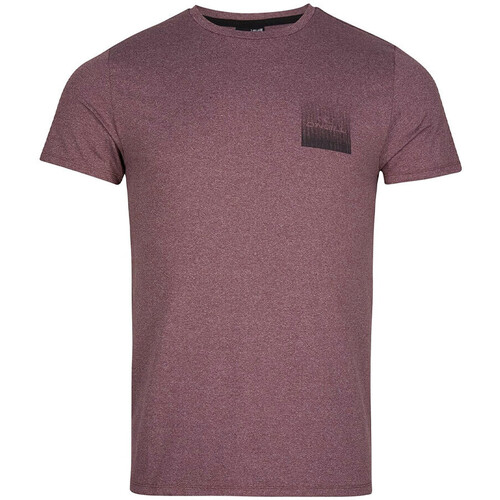 Vêtements Homme T-shirts chest manches courtes O'neill 2850005-13013 Rose