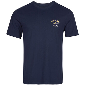 Vêtements Homme T-shirts chest manches courtes O'neill 2850006-15011 Bleu