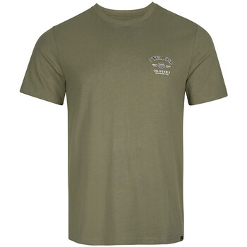 Vêtements Homme T-shirts manches courtes O'neill 2850006-16011 Vert